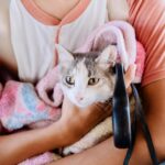 Campaña gratuita de esterilización promovida por Daniel Cortina, atiende a 148 perros y gatos
