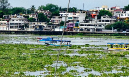 Suspenden maniobras nocturnas en el Río Tuxpan