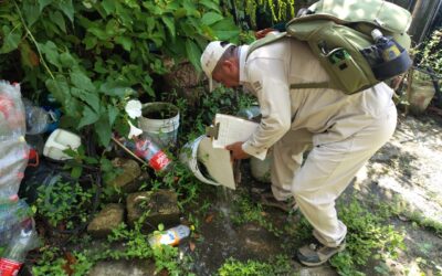 Refuerzan acciones contra el dengue en Tuxpan: Jurisdicción Sanitaria llama a la participación ciudadana