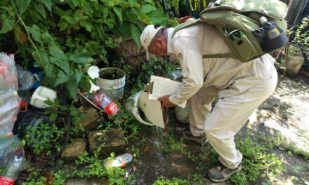 Refuerzan acciones contra el dengue en Tuxpan: Jurisdicción Sanitaria llama a la participación ciudadana