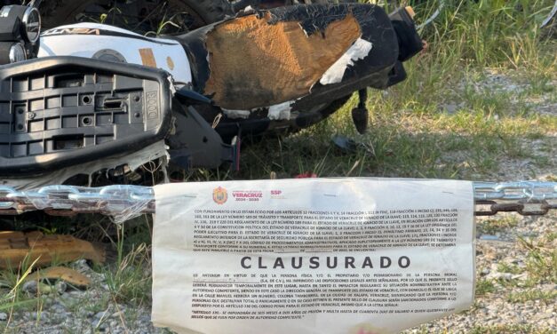 Clausuran corralón clandestino en el Camino a Juan Lucas