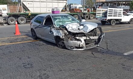 ¡Vivos de milagro! Un perrito murió en el accidente del AUDI