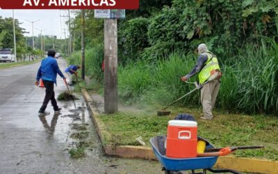 Se intensifica la atención de áreas verdes y recolección de basura
