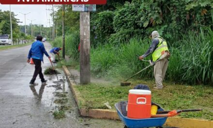 Se intensifica la atención de áreas verdes y recolección de basura