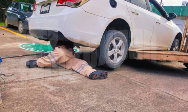 ¡Tremendo CULEBRÓN traía metido en el MOFLE!