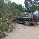Fuertes vientos del Frente Frío 11 derriban árbol y aplastan camioneta en Santiago de la Peña