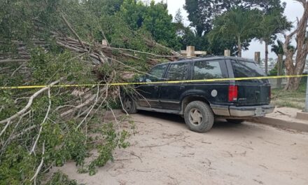 Fuertes vientos del Frente Frío 11 derriban árbol y aplastan camioneta en Santiago de la Peña
