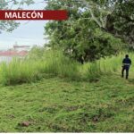 Cuadrillas de Parques y Jardines redoblan esfuerzos realizando chapeo, poda y desbroce en áreas verdes de la ciudad