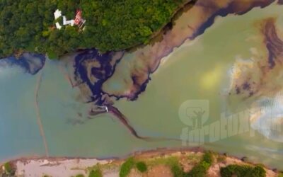 Más de 17 mil personas afectadas por el derrame en el río Tuxpan