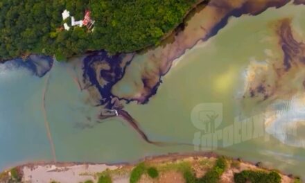 Más de 17 mil personas afectadas por el derrame en el río Tuxpan