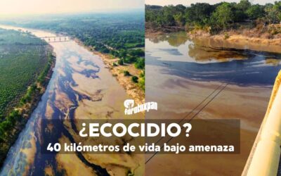 Daño ecológico en el río Tuxpan: 40 kilómetros de vida bajo amenaza