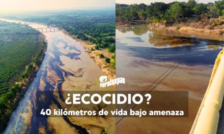 Daño ecológico en el río Tuxpan: 40 kilómetros de vida bajo amenaza