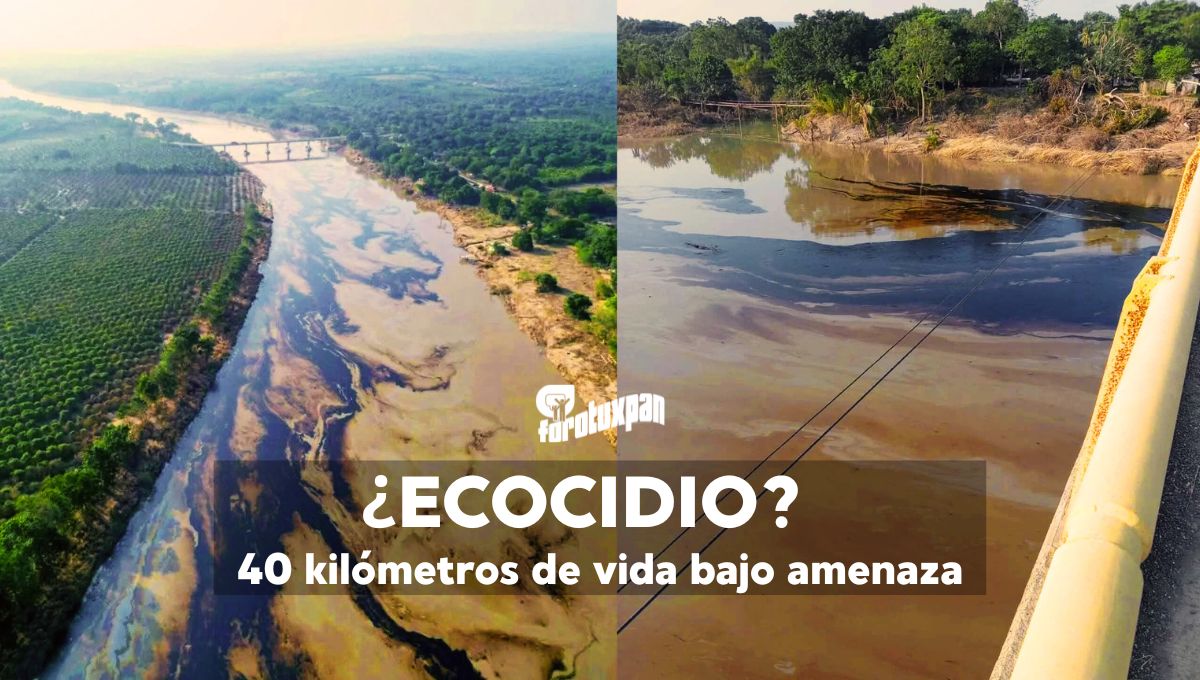 ecocidio-tres