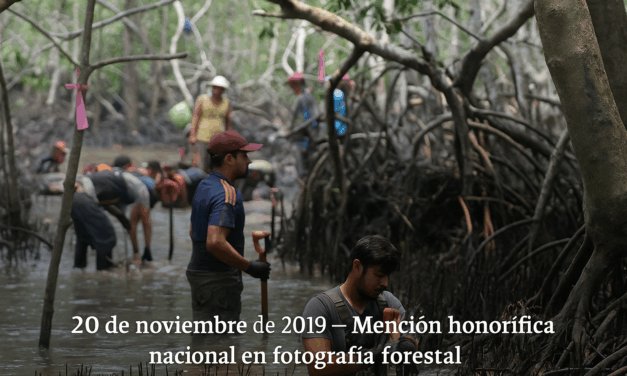 20 de noviembre de 2019 – Mención honorífica nacional para el tuxpeño Moisés Rivera Rodríguez