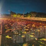 Perdió el control y se estrelló contra una Suburban en la autopista México-Tuxpan