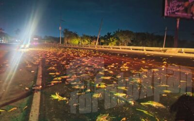 Perdió el control y se estrelló contra una Suburban en la autopista México-Tuxpan