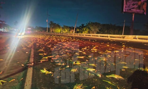 Perdió el control y se estrelló contra una Suburban en la autopista México-Tuxpan