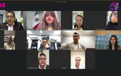 Les da PALO el OPLE: niegan ampliación de plazos a organizaciones que buscaban convertirse en partido político local