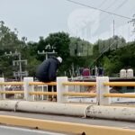 Hombre al agua moviliza a cuerpos de seguridad en Tuxpan; Policía Municipal evita tragedia