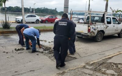 ¡Tuvo que intervenir Tránsito Municipal para esto!
