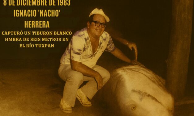 8 de diciembre de 1983 – Captura histórica de tiburón blanco en el Río Tuxpan
