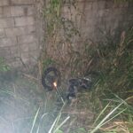 José Juan resulta lesionado tras salirse del camino en la carretera a Cobos