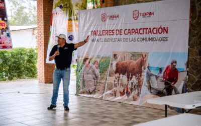 Refuerza Ayuntamiento de Tuxpan la lucha en contra del gusano barrenador