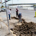 Inicia el Gobierno Municipal 2026–2029 con acciones de embellecimiento urbano en Tuxpan