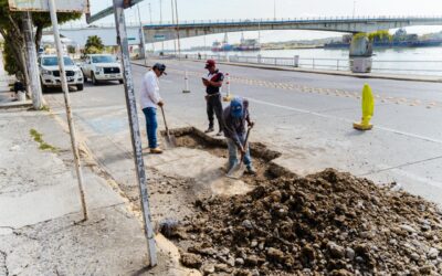 Inicia el Gobierno Municipal 2026–2029 con acciones de embellecimiento urbano en Tuxpan