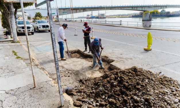 Inicia el Gobierno Municipal 2026–2029 con acciones de embellecimiento urbano en Tuxpan