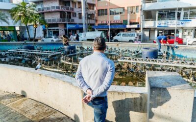 Atendiendo las indicaciones del presidente municipal Daniel Cortina, avanzan las acciones de embellecimiento en la ciudad.
