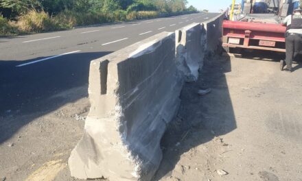 ¡Duro contra el Muro! en el Libramiento Portuario