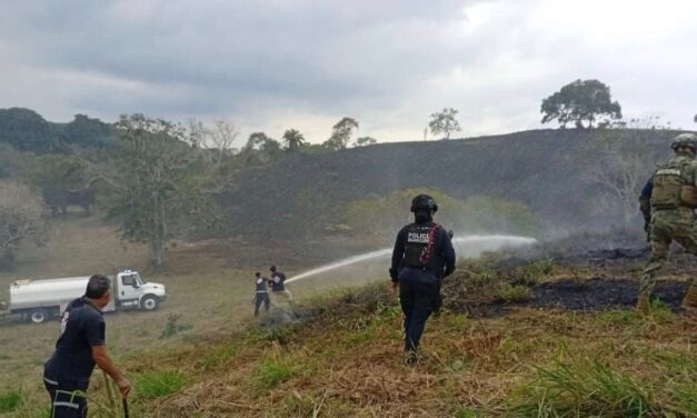 Sofocan incendio forestal en la colonia Libertad; moviliza a cuerpos de emergencia