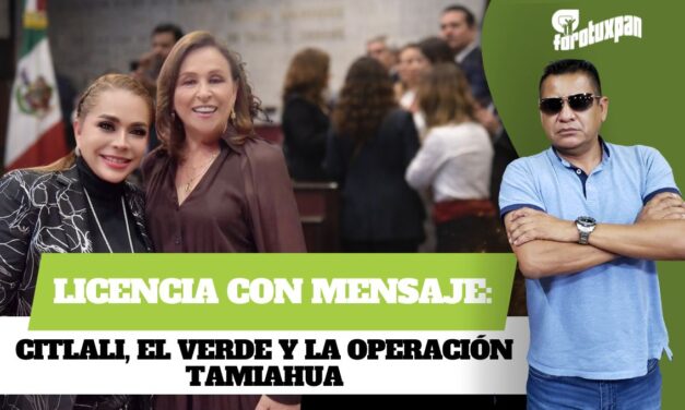 Licencia con Mensaje: Citlali, el Verde y la operación Tamiahua