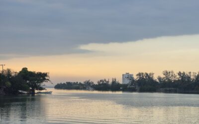 Emiten Aviso de Temporal para el Golfo de México; prevén “Evento de Surada” en costas de Veracruz