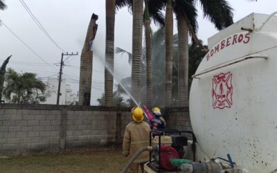 Corto circuito provoca incendio de palmera en el libramiento López Mateos