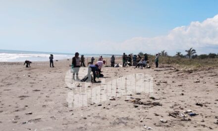 Chapopote llega a playas de Tuxpan; pobladores inician limpieza en El Sacrificio