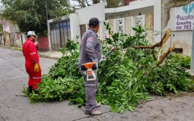 Protección Civil y Bomberos atienden reportes en Tuxpan por efectos del Frente Frío 41