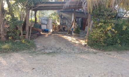 Adulto mayor fallece tras sufrir caída dentro de su vivienda en Tuxpan
