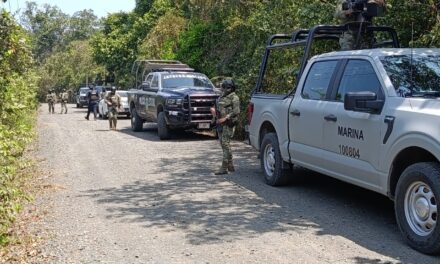 Hallan restos humanos en brecha de Tuxpan; despliegue de fuerzas federales y estatales
