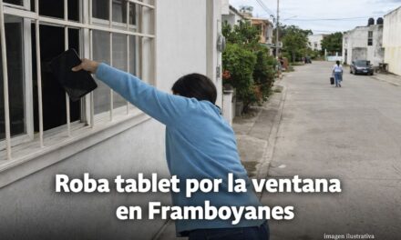 Mete la mano por la ventana y roba una tablet en Framboyanes