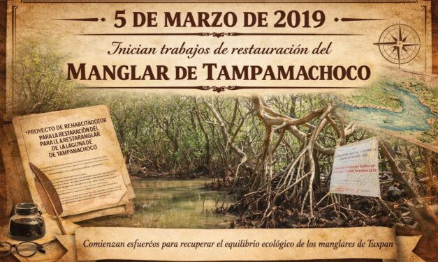 5 de marzo de 2019: Inician trabajos de restauración del manglar de Tampamachoco