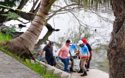 Hallan cuerpo sin vida en la ribera del río en Jardines de Tuxpan