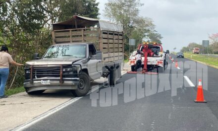 ¡BRUTAL IMPACTO EN LA MÉXICO–TUXPAN! CAMIONETA SE ESTRELLA CONTRA SEMOVIENTES Y TERMINA FUERA DE LA CARRETERA