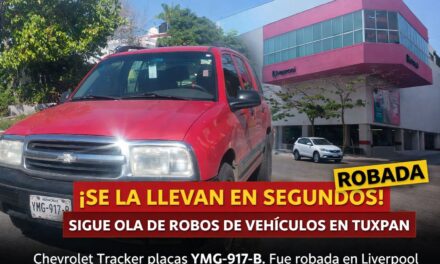 ¡SE LA LLEVAN EN SEGUNDOS! SIGUE OLA DE ROBOS DE VEHÍCULOS EN TUXPAN