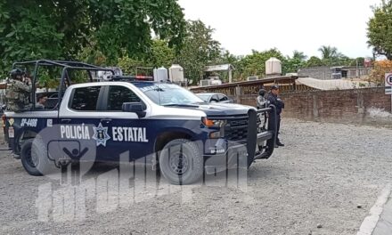 Intentan asaltar a proveedor de pollo en Tuxpan; activan Código Rojo tras detonaciones