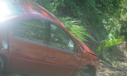 Revienta neumático y acaba fuera de la autopista México-Tuxpan