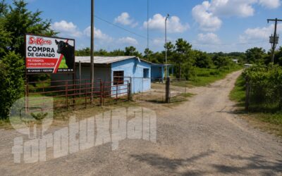 Mega robo de ganado sacude a Tuxpan; desaparecen 148 reses de centro de acopio en Sabanillas