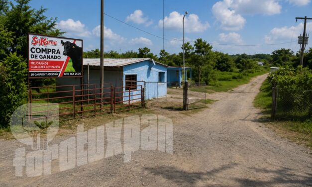 Mega robo de ganado sacude a Tuxpan; desaparecen 148 reses de centro de acopio en Sabanillas