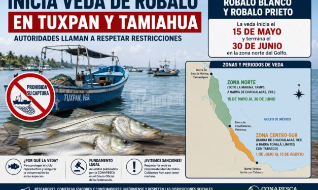 Inicia veda de robalo en Tuxpan y Tamiahua; autoridades llaman a respetar restricciones